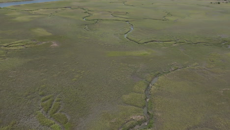 aerial video of hilton head’s marshland shows narrow tidal creeks carving through the grassy wetlands in a vivid green landscape