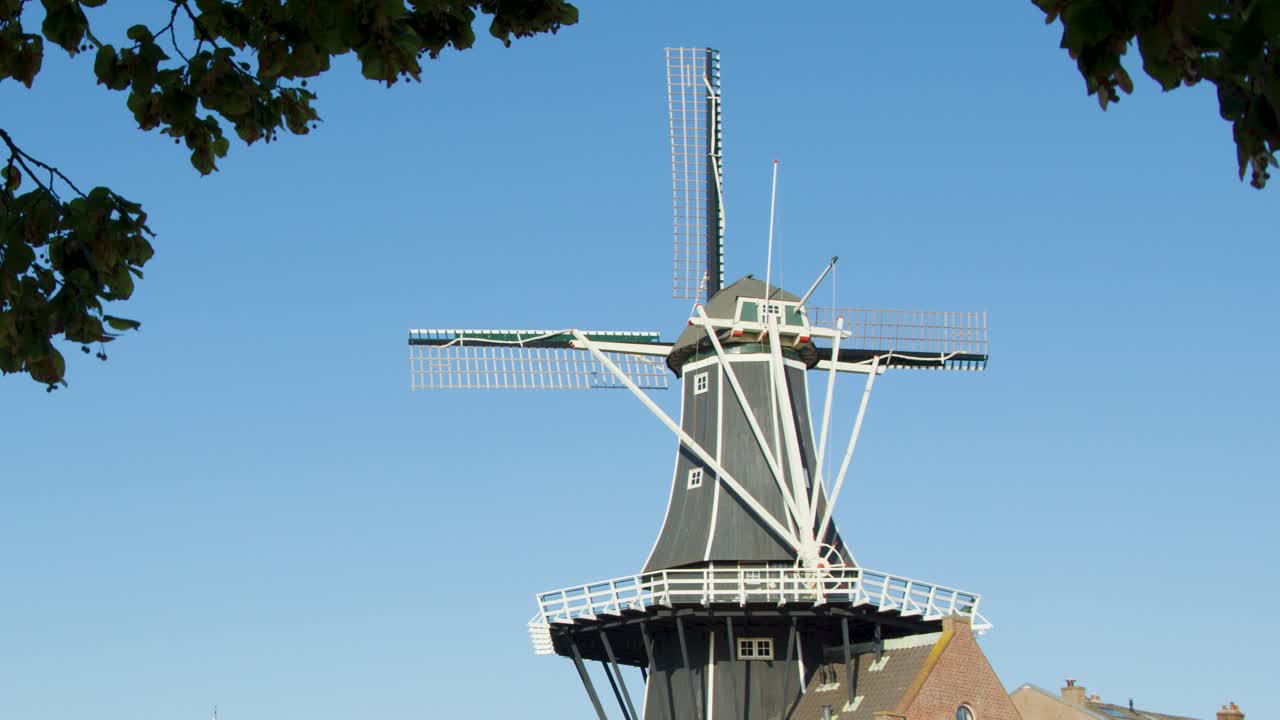 Historic Dutch windmill in Haarlem rotates slowly under blue sky, framed by leafy branches