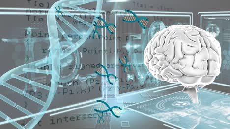 animation of brain, dna and anatomic data on digital screens