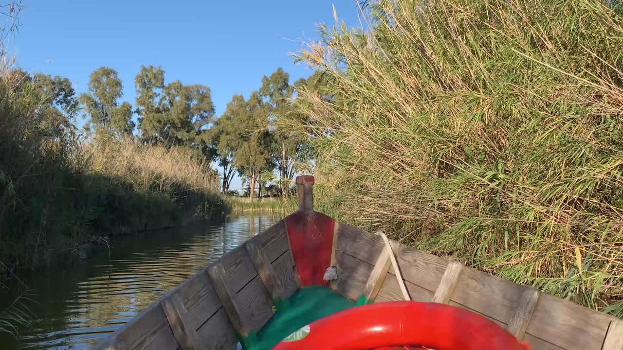 vista desde el barco, l'albufera, valencia