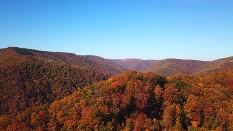 forward aerial shot over lake tarnita, romania, surrounded by colorful autumn trees