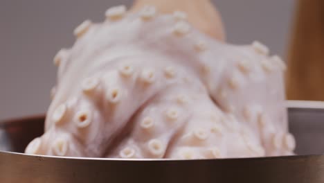 preparing fresh octopus
