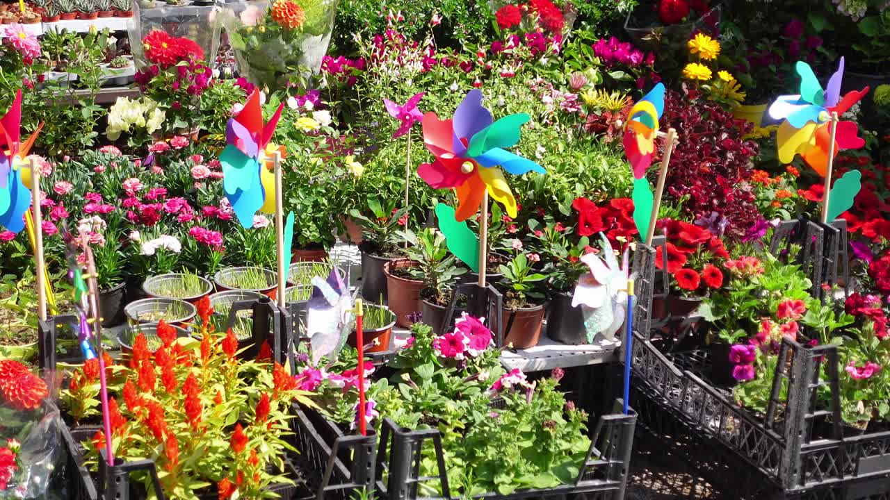 시장 에서 다채로운 꽃 과 식물 들