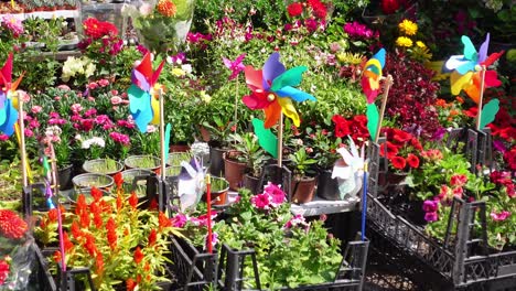 flores y plantas coloridas en un mercado