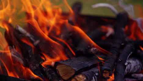 fire flame in burning wood. black wooden logs smoldering in flame for barbeque. hot campfire. close-up. slow motion.