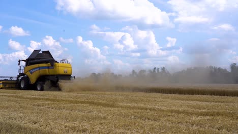 Una-Cosechadora-Cosecha-Campos-De-Cultivos-De-Trigo-Durante-El-Verano-En-Ucrania