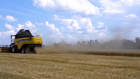 una cosechadora cosecha campos de cultivos de trigo durante el verano en ucrania