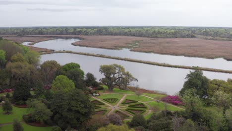 Aerial-descending-close-up-shot-of-the-majestic-Great-Middleton-Oak,-a-live-oak-tree-over-900-years-old-in-the-gardens-of-historic-Middleton-Place-Plantation,-low-country-South-Carolina