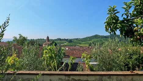 clothes drying in a scenic vineyard setting