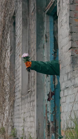 hand with fresh flowers in abandoned place. abandoned place after chemical attack. human's hand in protective glove hold flowers. ecological disaster. vertical video