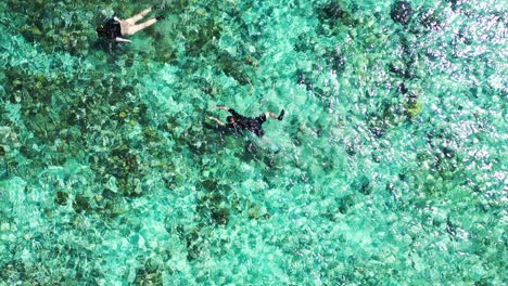 la pareja de turistas disfruta nadando buceando sobre arrecifes de coral con vistas aéreas de drones en azul aguamarina cristalino