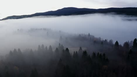 smokey drone shot over misty winter morning tree tops in the mountains.