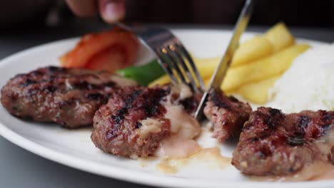 delicioso kofte a la parrilla con queso, arroz y papas fritas