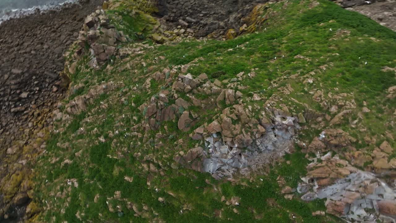 volando sobre una isla en francia con una bandada de pájaros enjambre en el horizonte