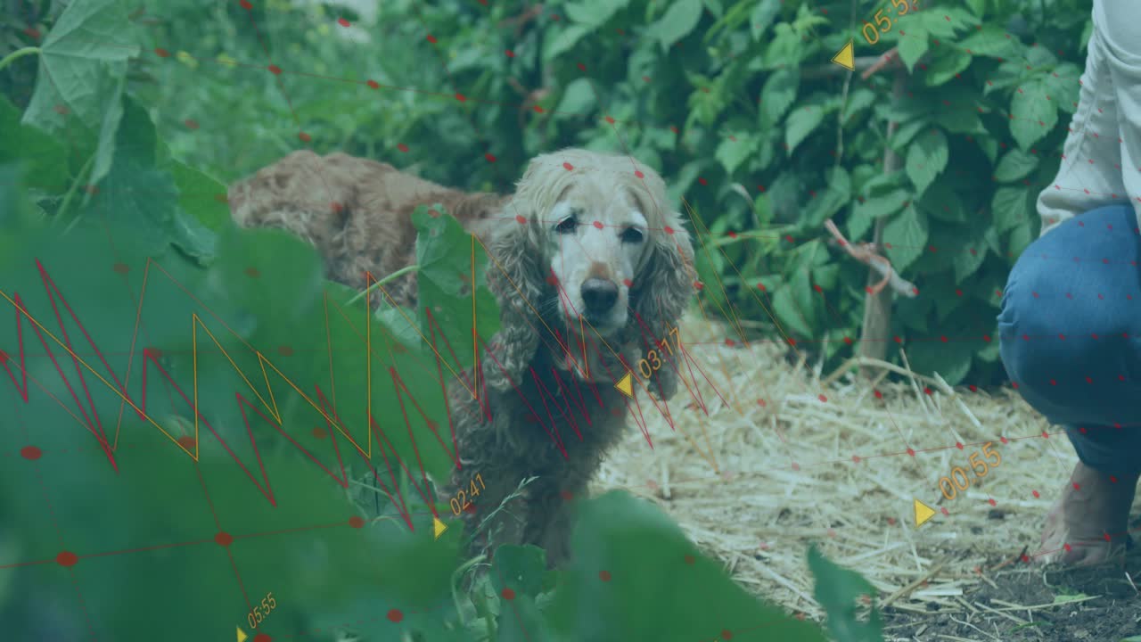 Golden retriever dog lifting head stepping past foliage beside kneeling owner showcasing pet care