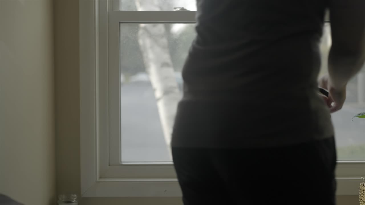 Man Spraying Houseplant by Sunny Window Natural Light