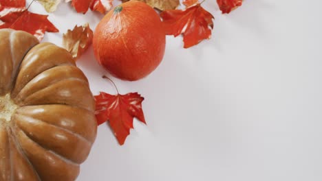 Video-of-pumpkins-with-autumn-leaves-on-white-background