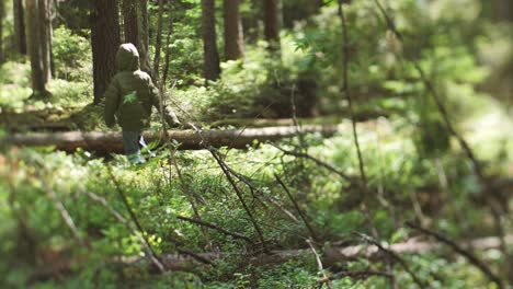 Niño-Solo-En-El-Bosque