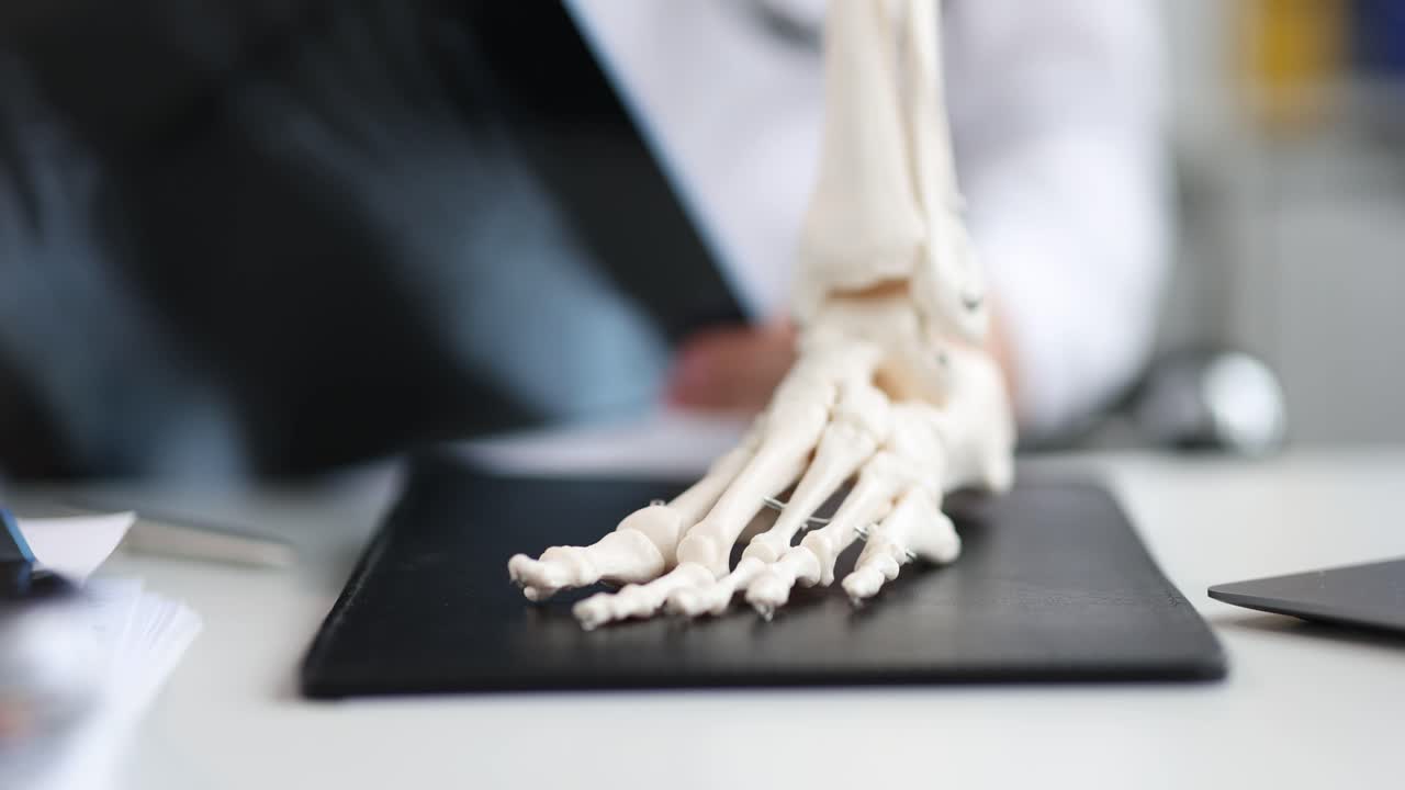 Medical professional examining foot X-ray with a skeletal model
