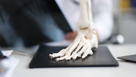 medical professional examining foot x-ray with a skeletal model
