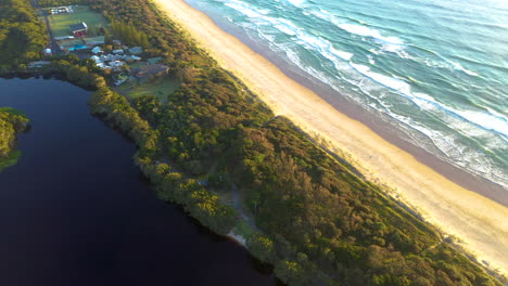 rotating drone shot of maritime forest and beach at lennox head