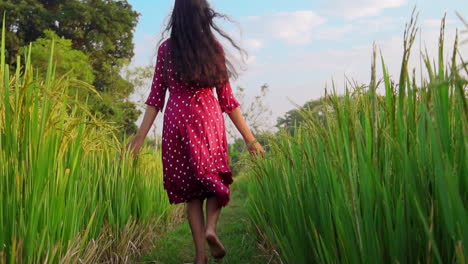 Vista-Trasera-De-Una-Mujer-Corriendo-En-El-Campo-De-Arroz-Extendiendo-Los-Brazos-Durante-El-Amanecer.