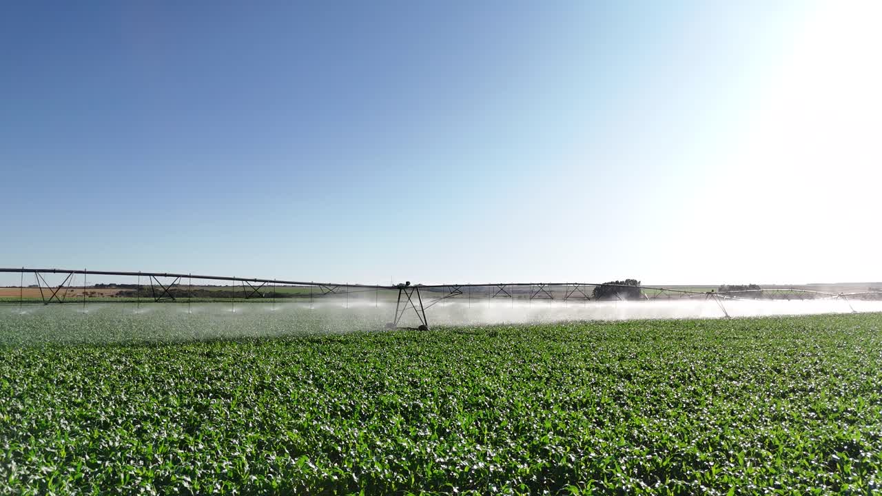 Drone view of corn field being irrigated by center pivot system - Goiás, Brazil
