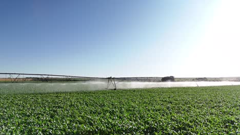 drone view of corn field being irrigated by center pivot system - goiás, brazil