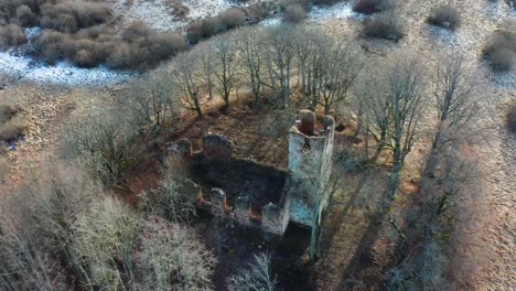 aerial view of old church bell tower and wall remains among bare trees