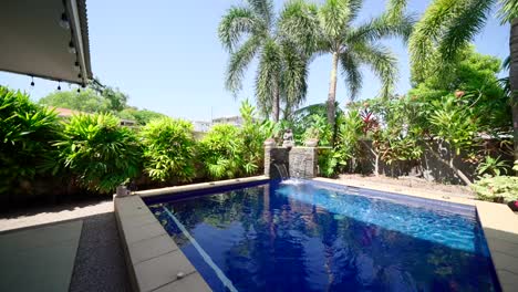 relaxing backyard oasis with swimming pool and tropical garden