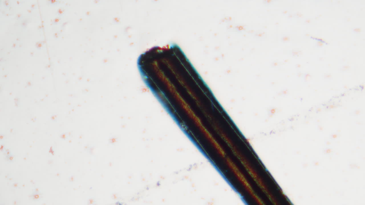 Microscopic View of a Hair Strand Under Magnification