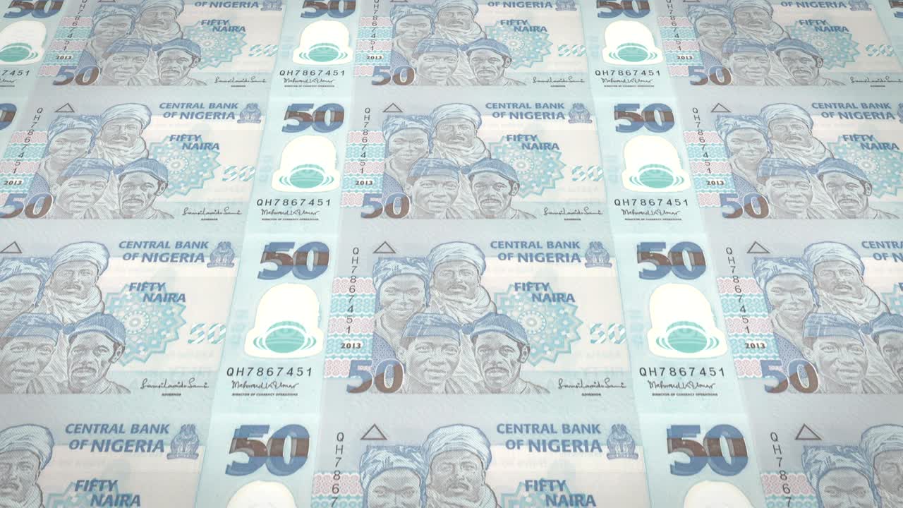 나이지리아 중앙 은행의 50 나이라 지폐 시리즈, 스크린에 굴러, 세계 동전, 현금, 루프