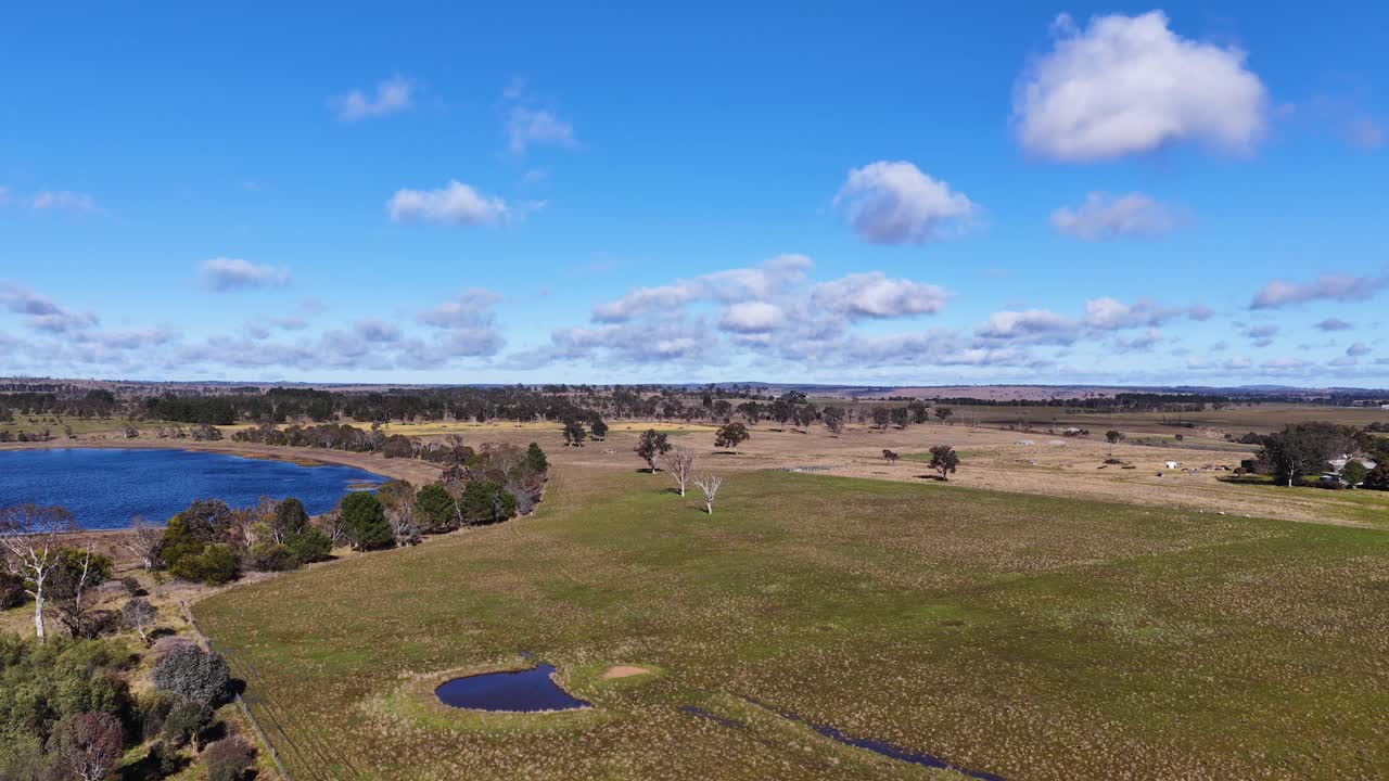 Drone camera glides above open grassland with scattered trees, small ponds, and a large lake under bright daylight and blue sky with clouds