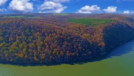 aerial view of autumn tree colors on a hill side sunny fall day