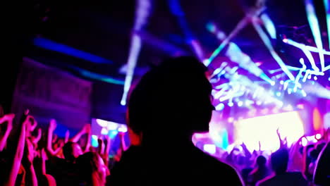 concert crowd enjoying the show