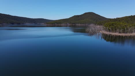 motionless water of advancetown lake near the hinze dam - dead trees around the island - gold coast, qld, australia