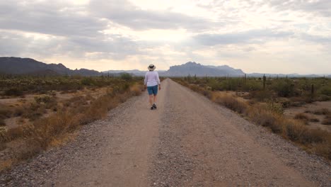 a hiker walks into the distance with leading lines to tall mountains