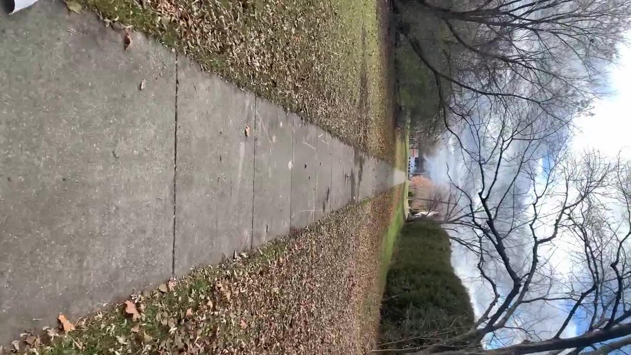 An autumn neighborhood passes by when riding on a Segway