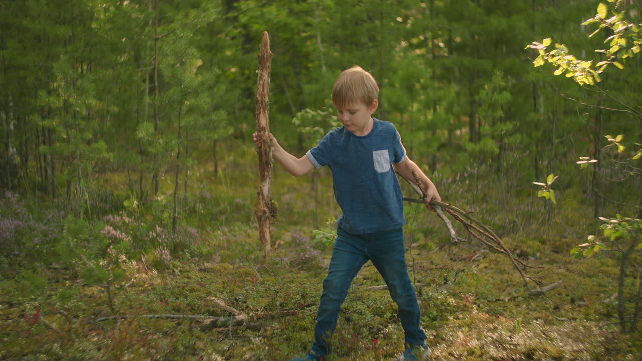 A boy collects sticks of dry trees for a campfire in the forest