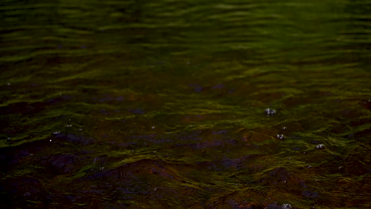 낮에는 갈색 물이 움직이고 여름에는 빛이 비치는 낮에는 4k로 흐르는 영상