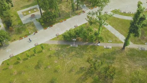 just-married-couple-walks-along-track-in-park-bird-eye-view