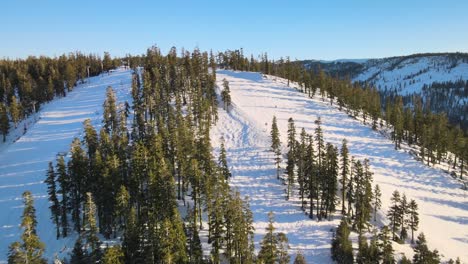 drone birdseye view over two downhill ski slopes and surrounding pine forests in lake tahoe, usa on a bright and sunny day