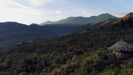 a native papuan hut high in the mountains of papua, indonesia