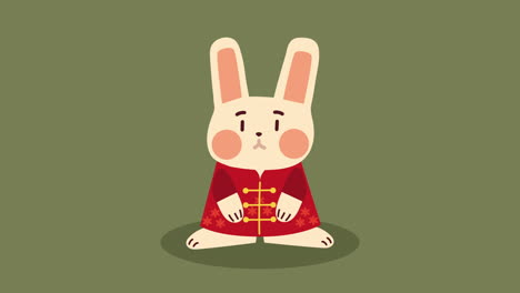 chinese rabbit with red suit