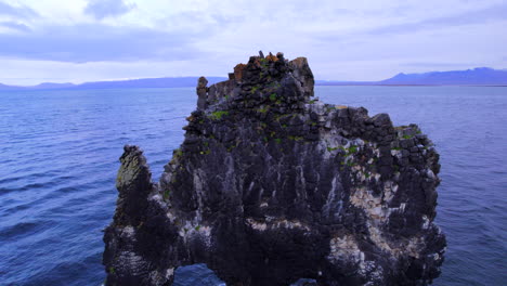 aerial of majestic hvítserkur sea basalt rock in north iceland