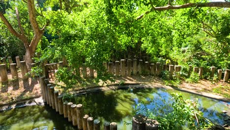 lush greenery and water at chonburi zoo