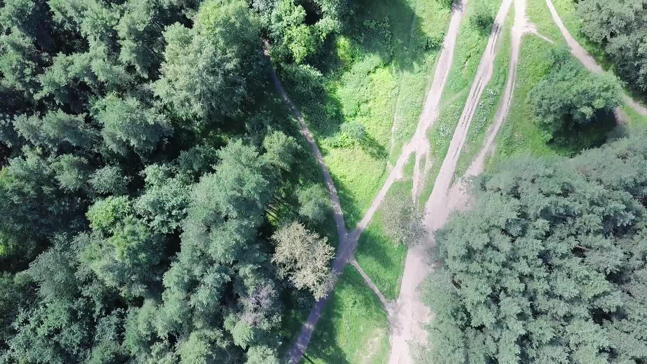 숲길 의 공중 사진