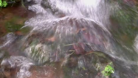 Schnell-Fließendes-Wasser-Im-Waldbach