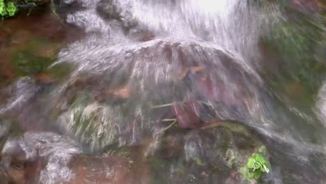 fast flowing water in woodland stream