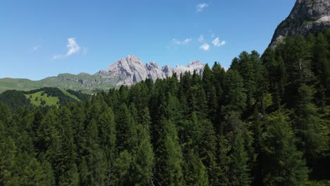 volando sobre un hermoso bosque verde en las montañas con un cielo azul y una gran montaña en el fondo, dolomitas, italia, europa, dron